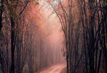 名场面｜许昕神仙球让外国解说直呼“靓仔”.