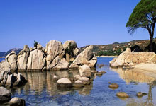 三节打卡！杰伦·格林17中9砍下33分&中间两节合计32分帮助球队终结悬念.